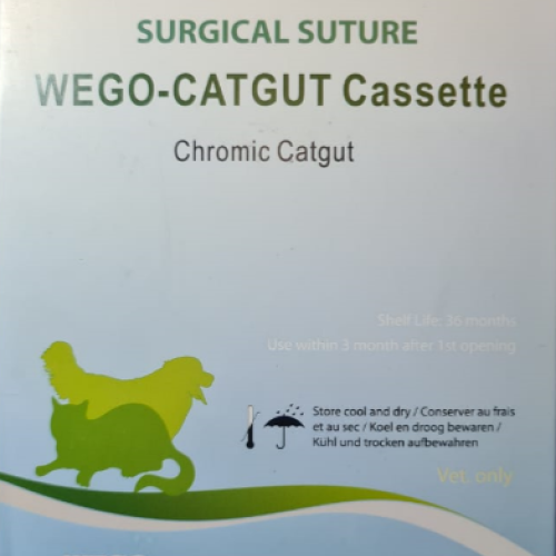  Chromic Cat Gut #3 Surgical Suture